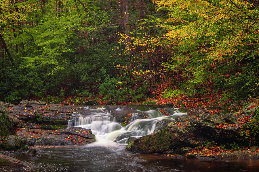 Fall Photograph - Smoky Mountain Rapids by Andrew Soundarajan