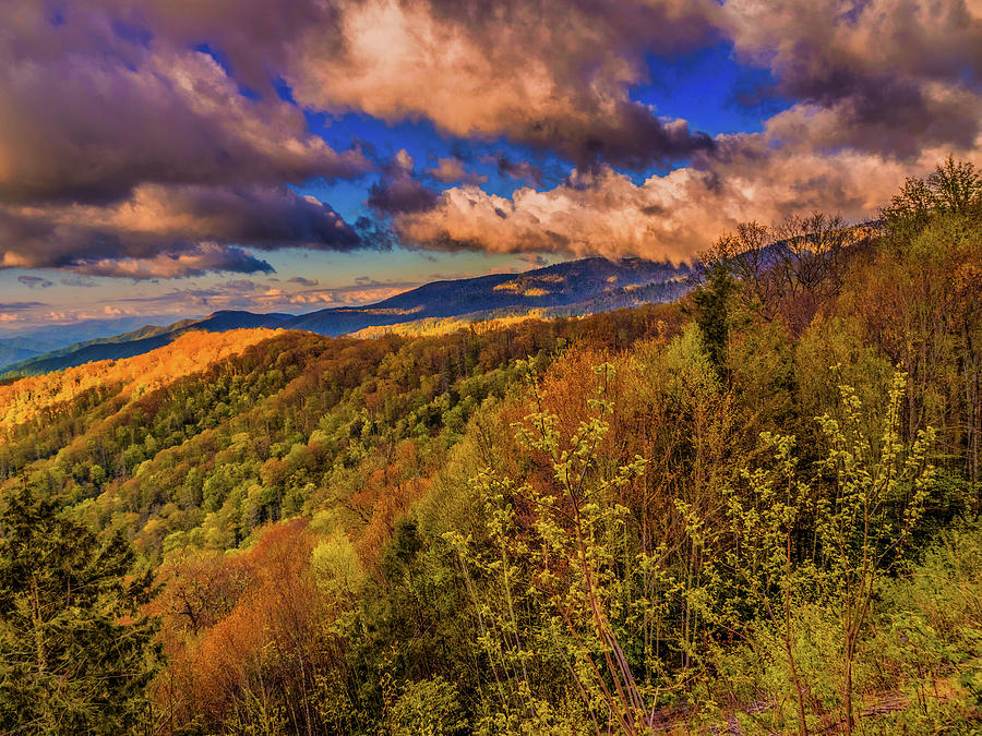 Smoky Mountain Scenery 037 Photograph by James C Richardson