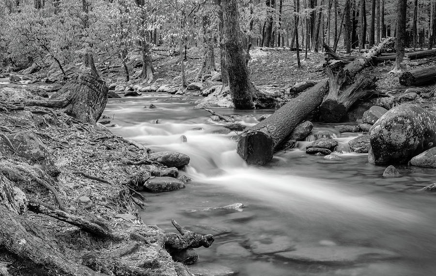 Smoky Mountain Stream, Black and White Photograph by Marcy Wielfaert