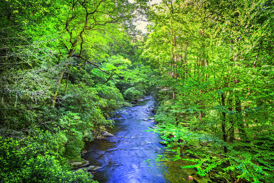 Smoky Mountain Stream Through the Forest Photograph by Debra and Dave Vanderlaan
