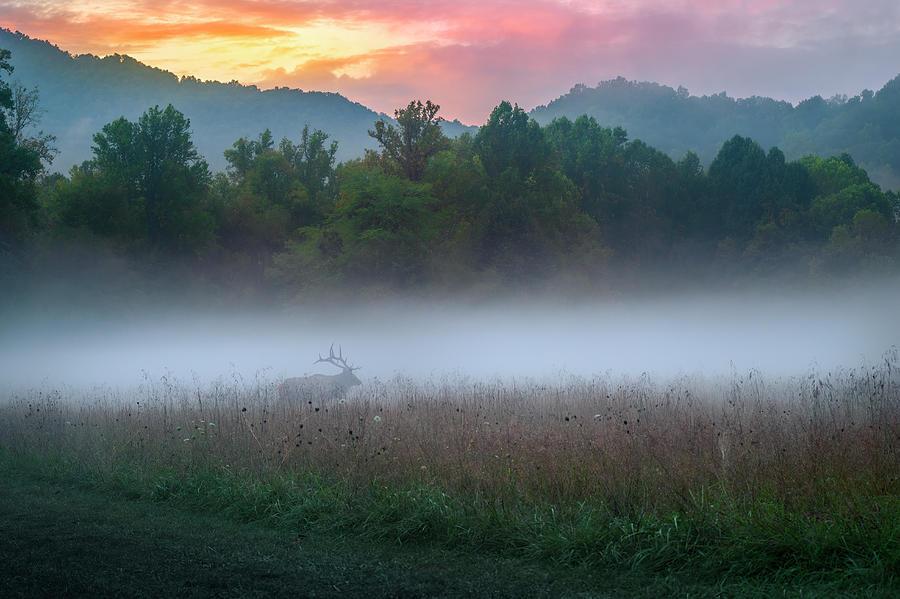 Smoky Mountain Sunrise Photograph By Medlin Photography - Fine Art America