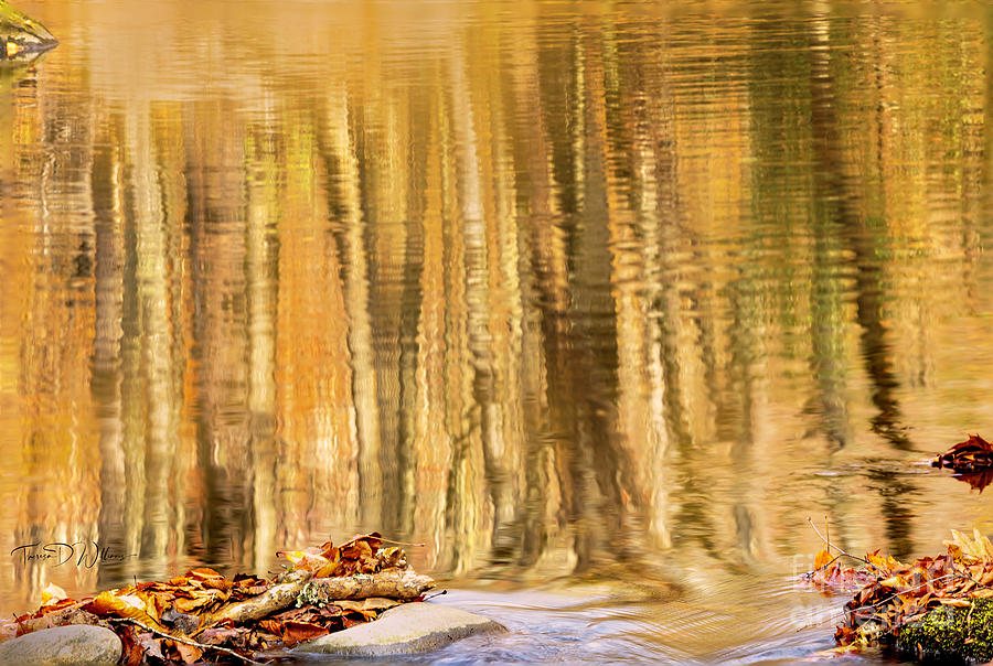 Smoky Mountains Autumn Reflections Photograph by Theresa D Williams