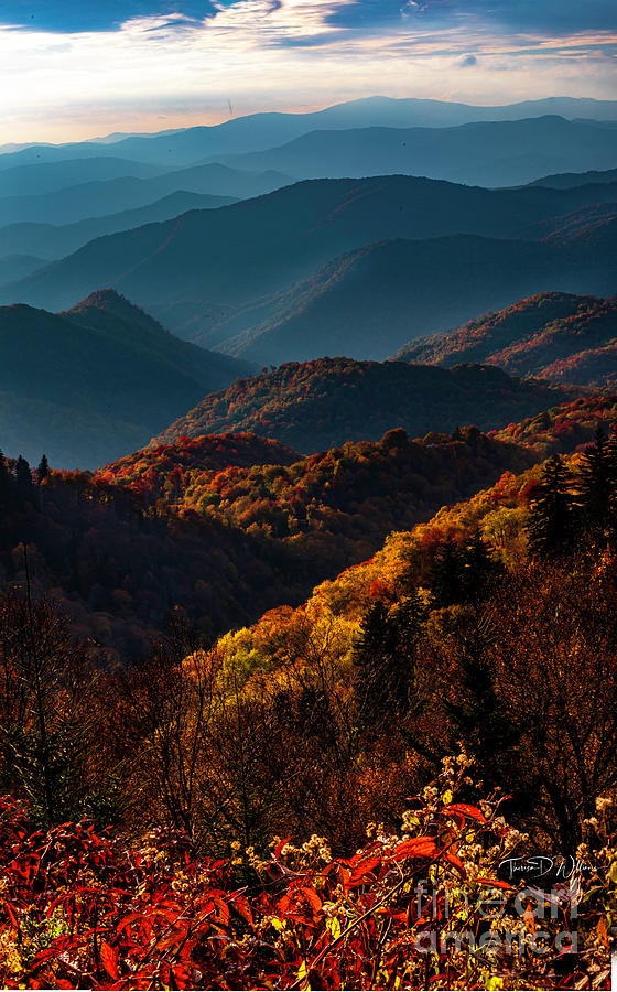 Smoky Mountains Autumn Photograph by Theresa D Williams