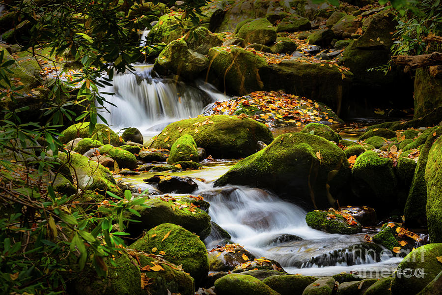 Smoky Mountains Autumn Water Photograph by Theresa D Williams