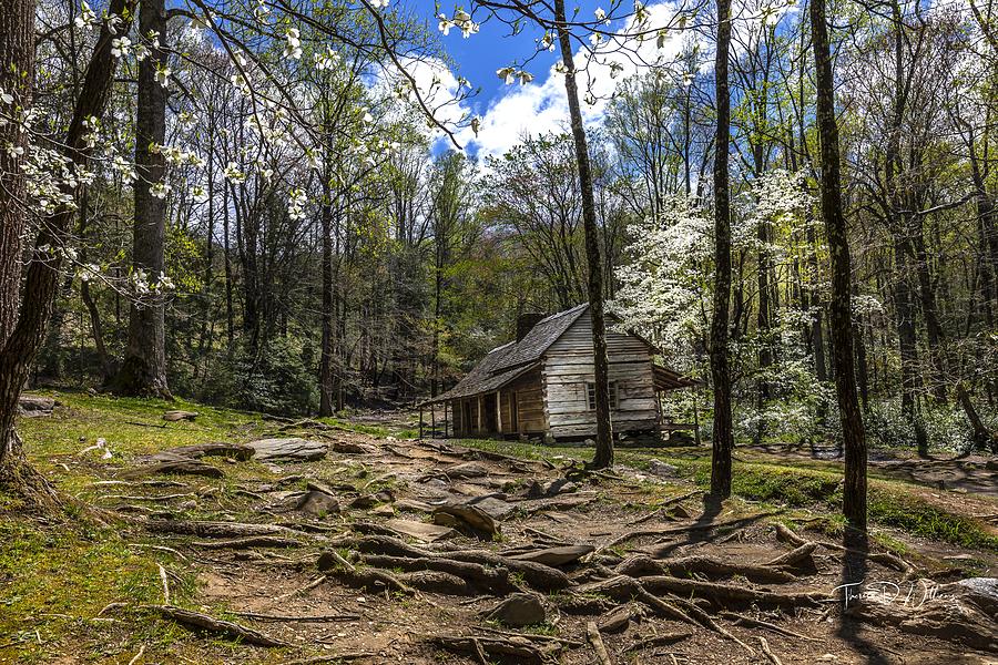 Smoky Mountains Cabin in the Dogwoods Photograph by Theresa D Williams