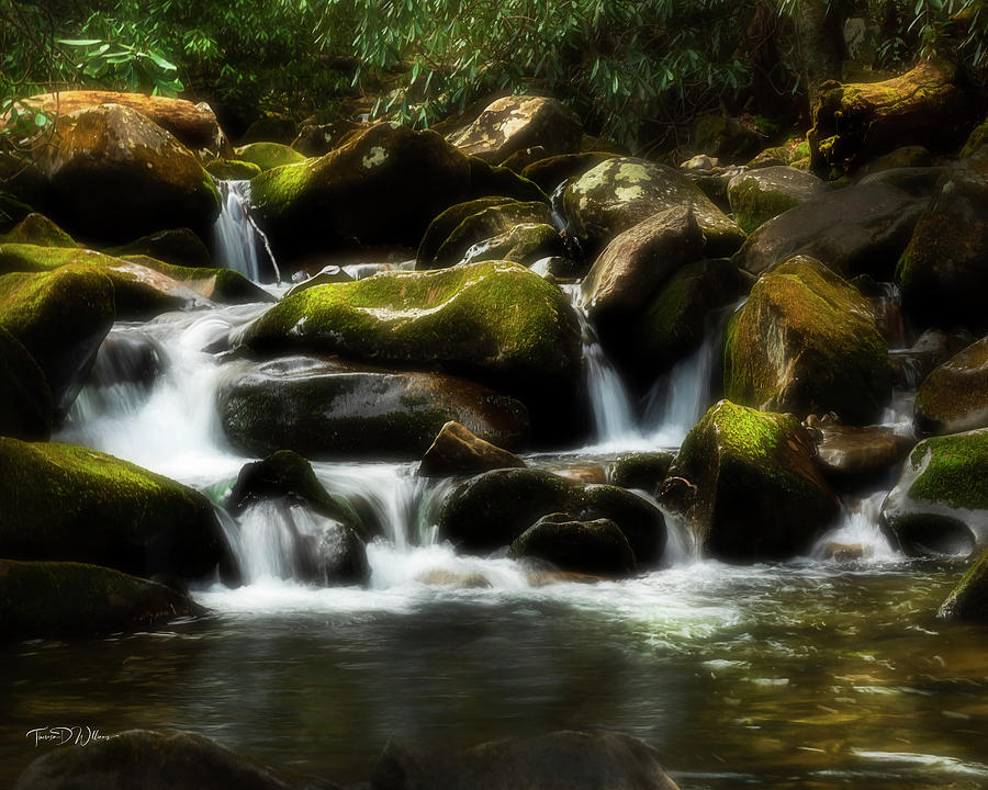 Smoky Mountains Cascades Photograph by Theresa D Williams