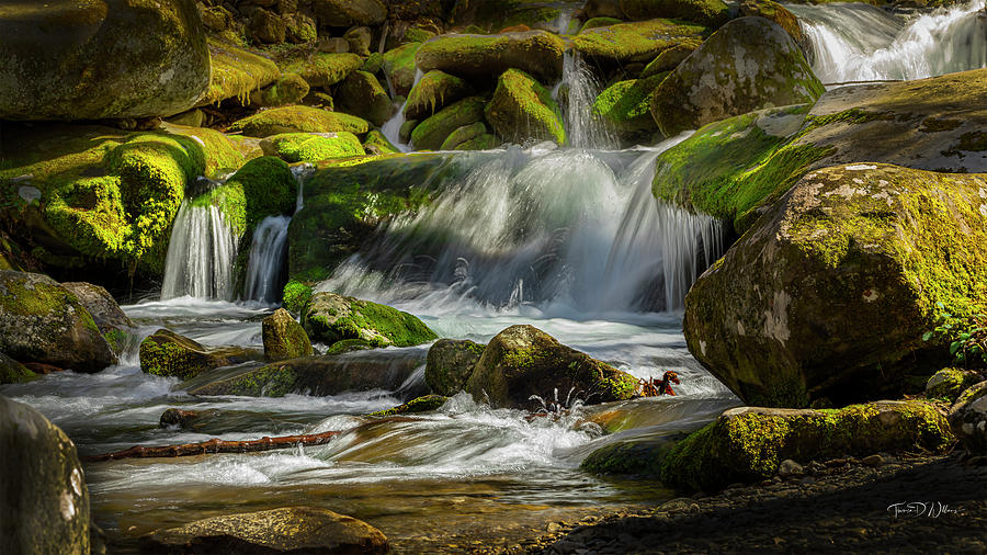 Smoky Mountains Cold Spring Water Photograph by Theresa D Williams