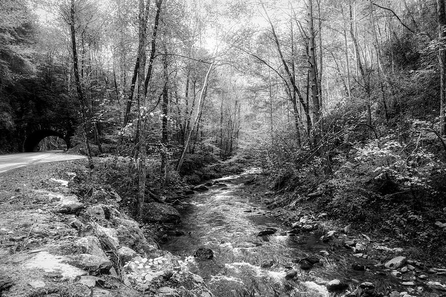 Smoky Mountains Country Streams in Black and White Photograph by Debra and Dave Vanderlaan
