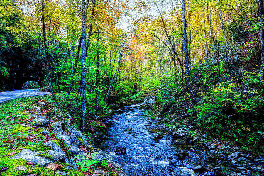 Smoky Mountains Country Streams Painting Photograph by Debra and Dave Vanderlaan