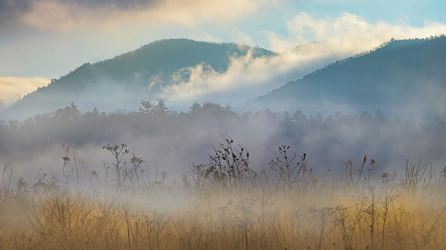 Smoky Mountains Fog Parfait Photograph by Theresa D Williams