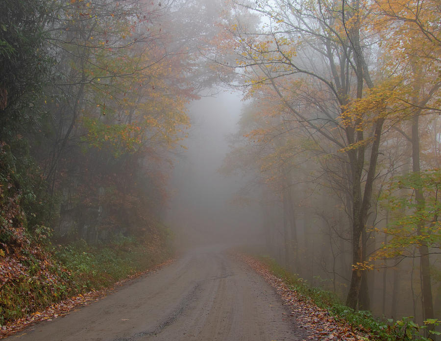 Smoky Mountains Foggy Road Photograph by Norma Brandsberg