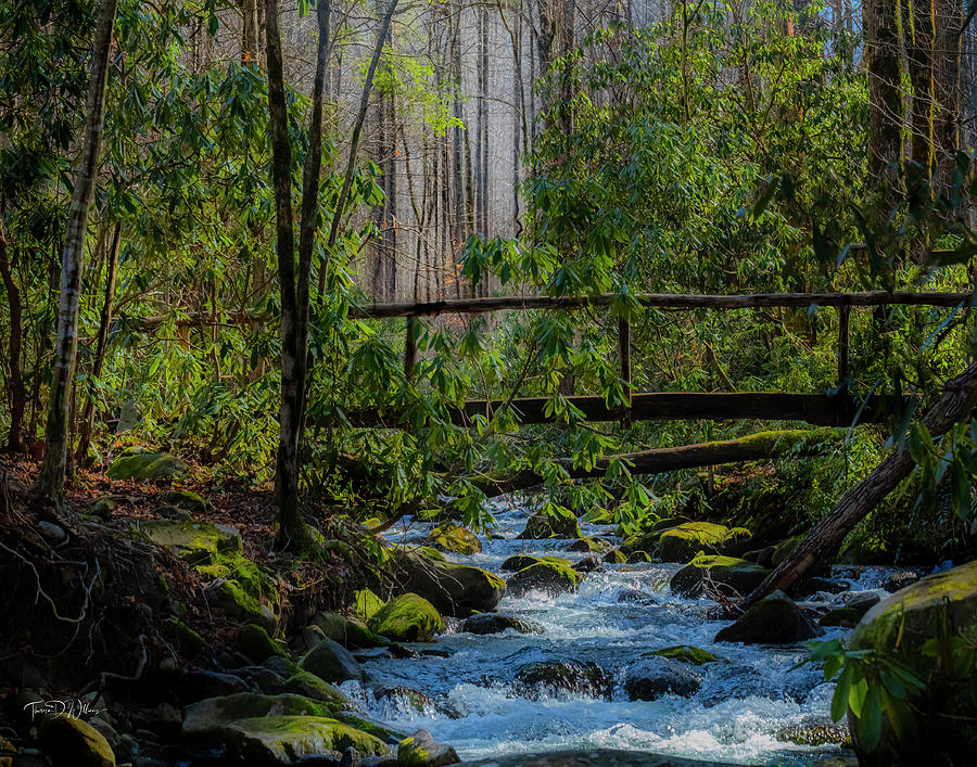 Smoky Mountains Footbridge  Photograph by Theresa D Williams
