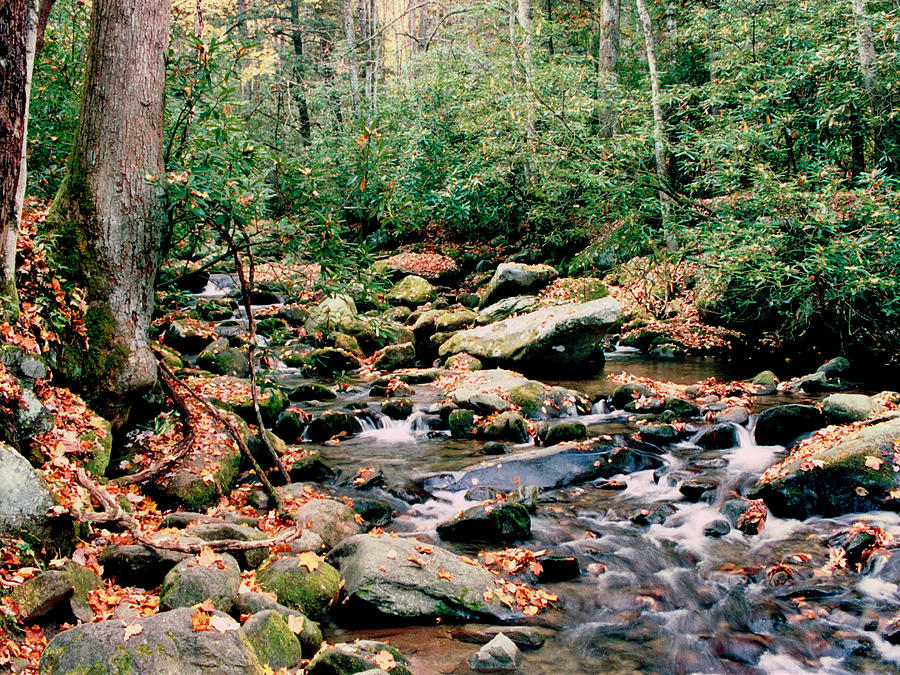 Smoky Mountains Roaring Fork 93 Photograph by Mike McBrayer