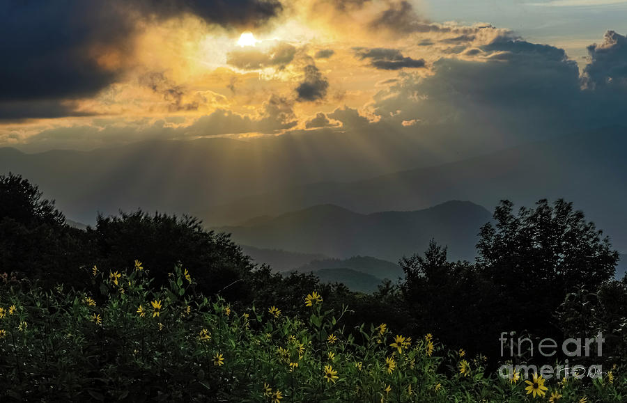 Smoky Mountains Golden Glow Photograph by Theresa D Williams