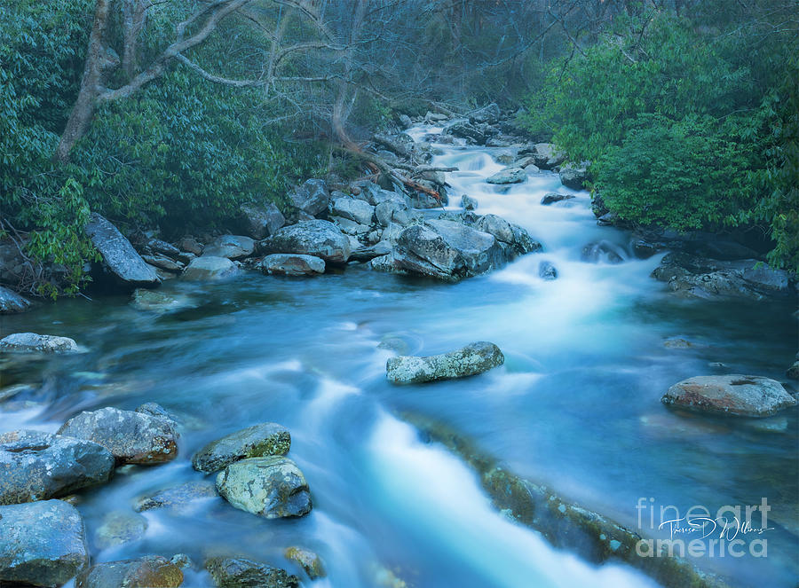 Smoky Mountains Icy River Mist Photograph by Theresa D Williams