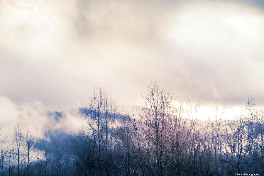 Smoky Mountains Mornings  Photograph by Debra Forand