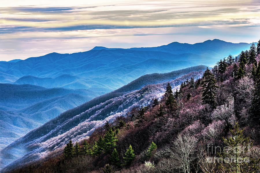 Smoky Mountains November Frost Photograph by Theresa D Williams