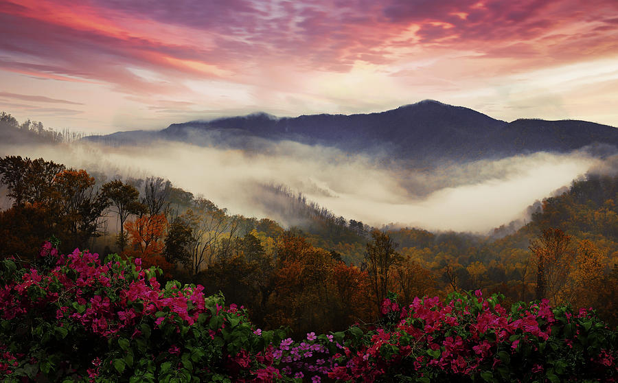 Smoky Mountains Overlook Blue Ridge Parkway Evening Colors Photograph by Debra and Dave Vanderlaan