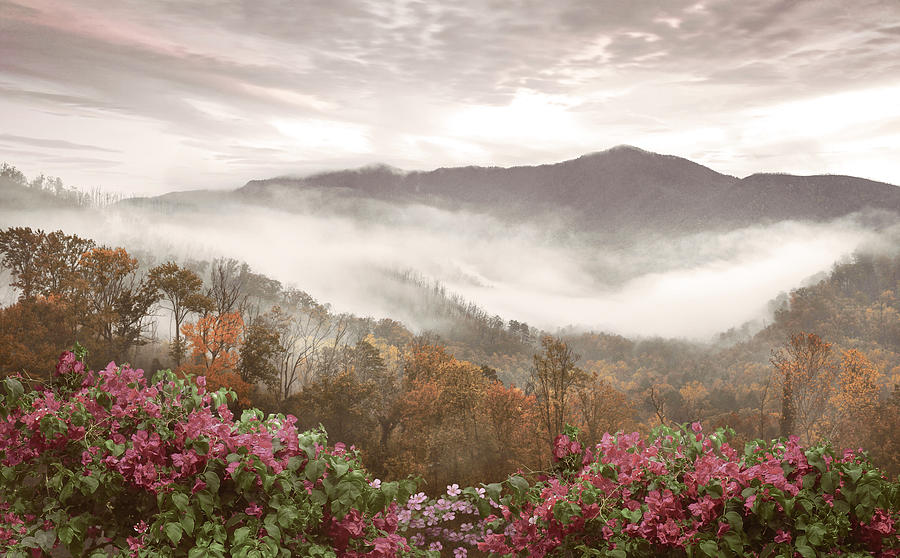 Smoky Mountains Overlook Blue Ridge Parkway Soft Hues Photograph by Debra and Dave Vanderlaan