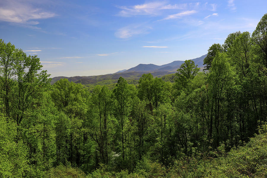 Smoky Mountains Overlook Green And Blue Photograph by Dan Sproul