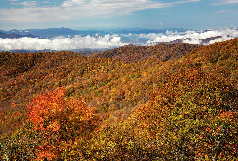 Smoky Mountains Overlook In Autumn Light Photograph by Dan Sproul