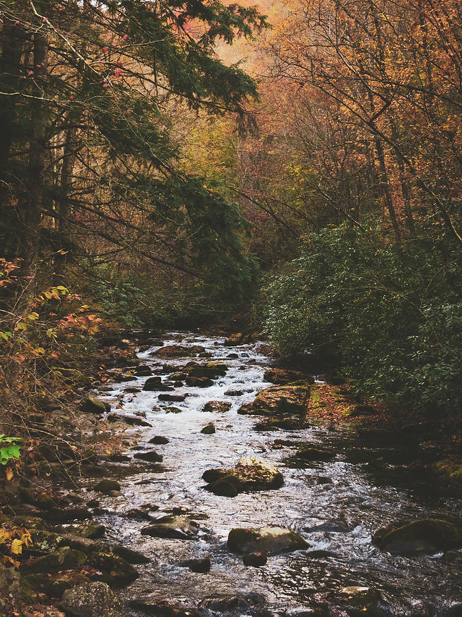 Smoky Mountains River in the Fall Photograph by Rachel Morrison