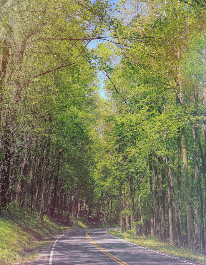 Smoky Mountains Road Textured Photograph by Dan Sproul