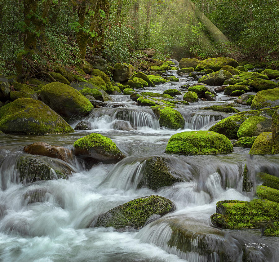 Smoky Mountains Spring River Water Photograph by Theresa D Williams