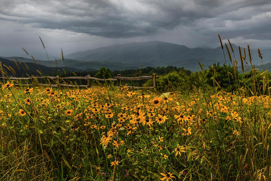 Smoky Mountains Summer Storm Photograph by Theresa D Williams