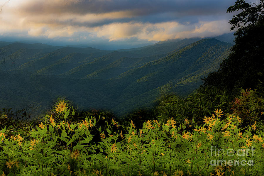 Smoky Mountains Summer Photograph by Theresa D Williams