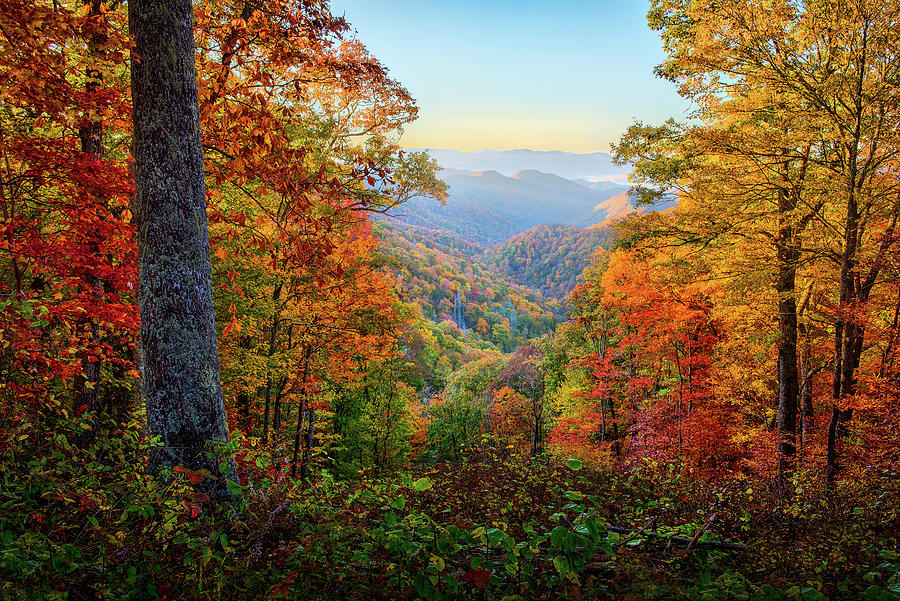 Smoky Mountains Sunrise Photograph by Don Allen - Fine Art America