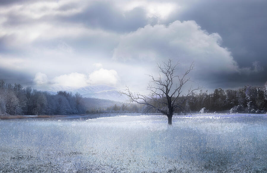 Smoky Mountains White Winter Photograph by Theresa D Williams Smoky Mountains Smoky Mountains White Winter Photograph by Theresa D Williams Smoky Mountains