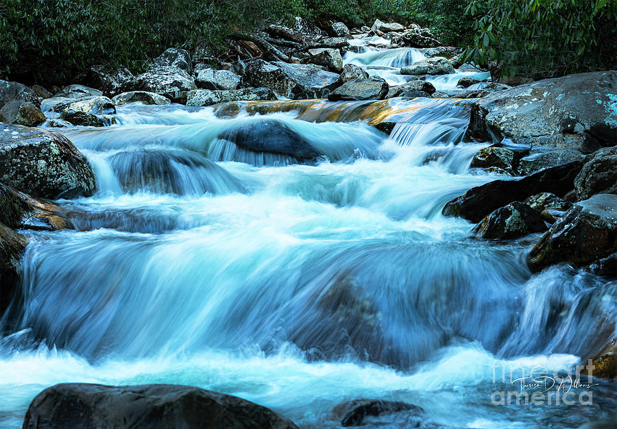 Smoky Mountains Winter River Photograph by Theresa D Williams