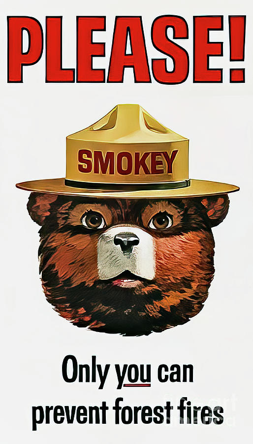 Smokey the Bear Fire Prevention Drawing by M G Whittingham