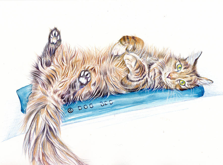 Smug Cat - Shameless Painting by Debra Hall