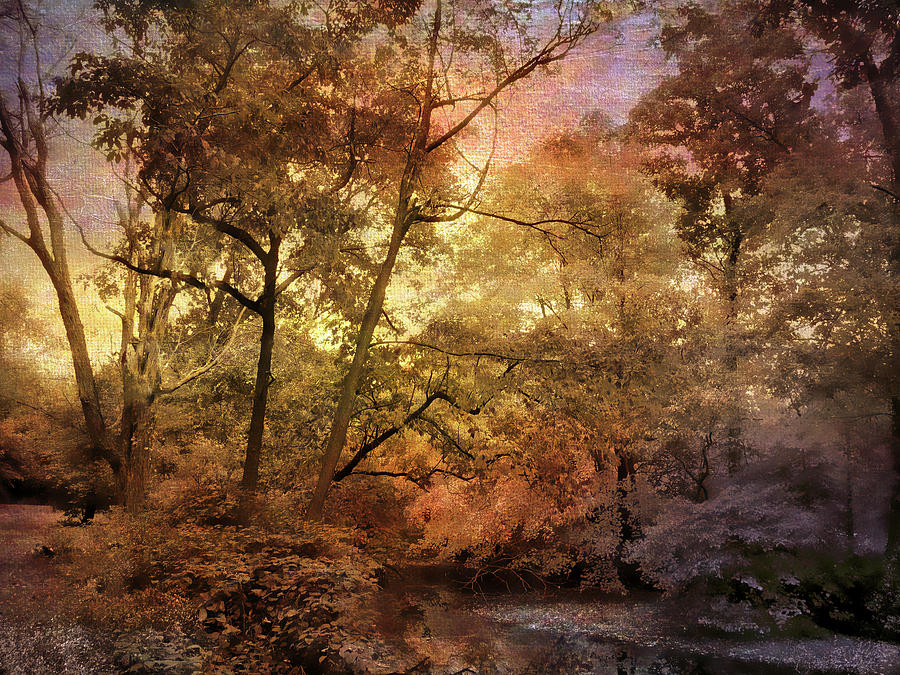 Whispers in a Woodland  Photograph by Jessica Jenney