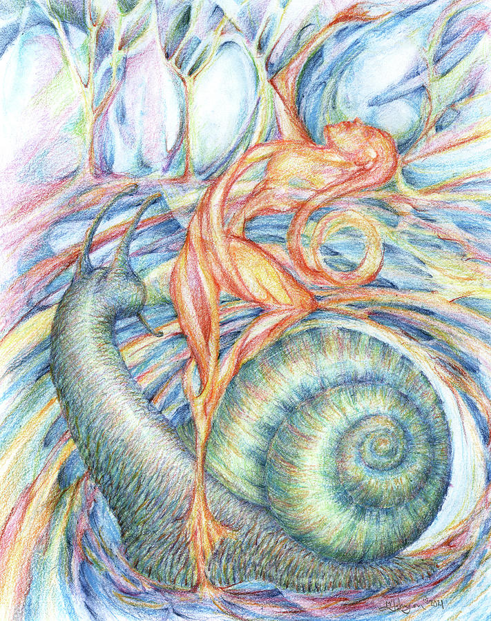 Snail Drawing by Mark Johnson