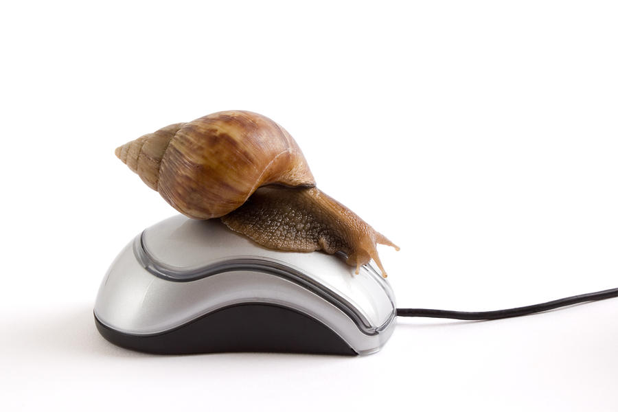 Snail on mouse Photograph by Synergee