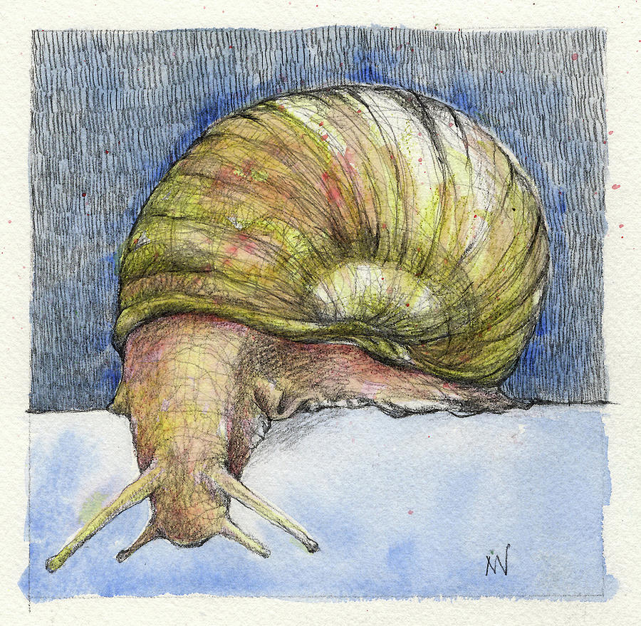 Snail Search Mixed Media by AnneMarie Welsh