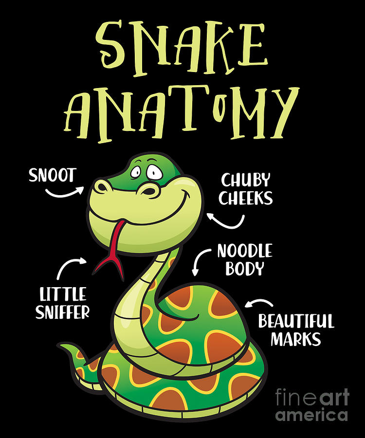 snake anatomy
