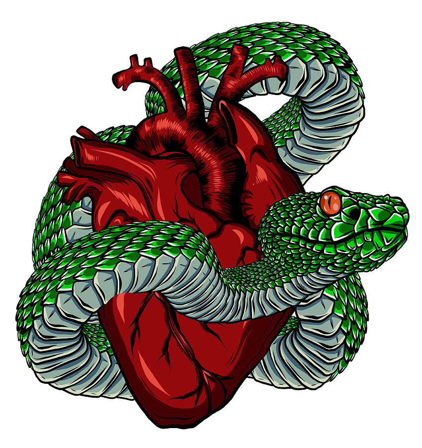 Snake and heart tattoo. Symbol of love, envy, evil tshirt design
