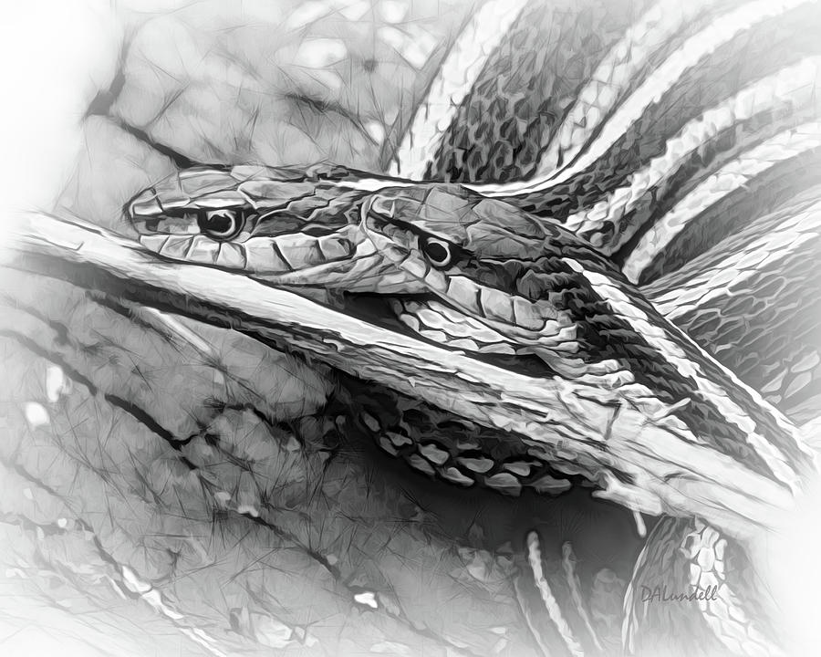 Snake Couple Portrait Digital Art by Dennis Lundell