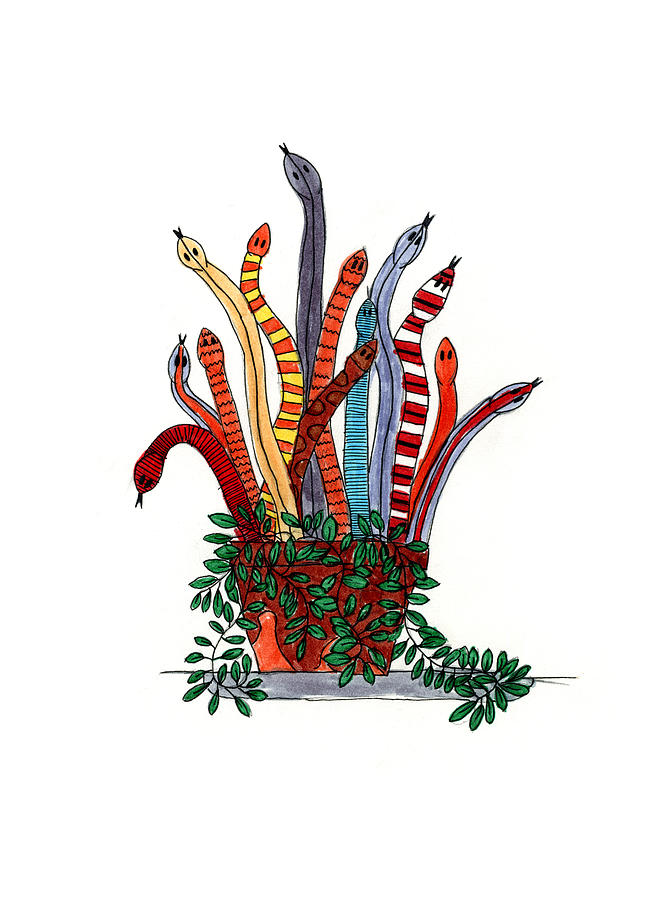 Snake Grass Drawing by Lily Lofland - Pixels