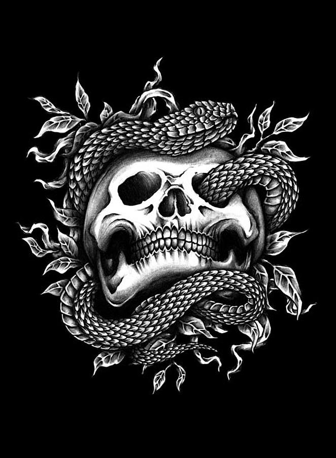Snake In Skull Digital Art by Curt Freeman