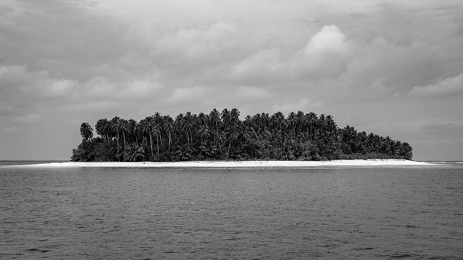 Snake Island Photograph by David Biner - Fine Art America