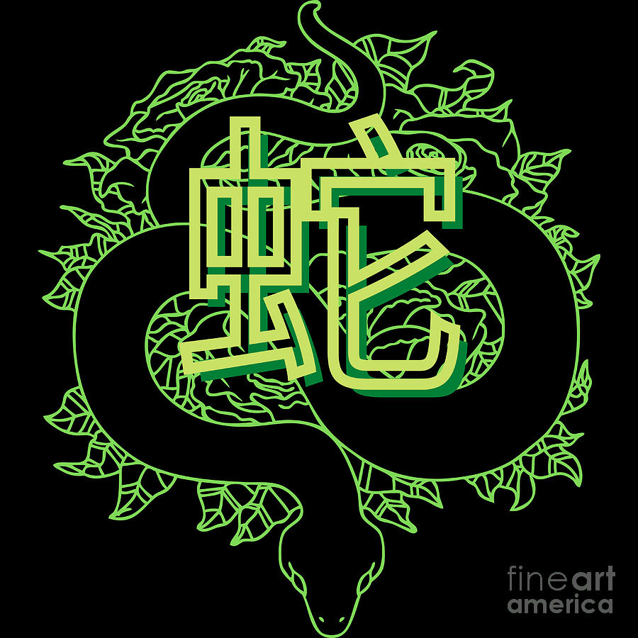 Snake Kanji Japanese Beautiful Digital Art by Nathalie Aynie | Fine Art