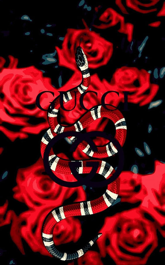 Snake Of Gucci Digital Art by Anja Braun - Fine Art America