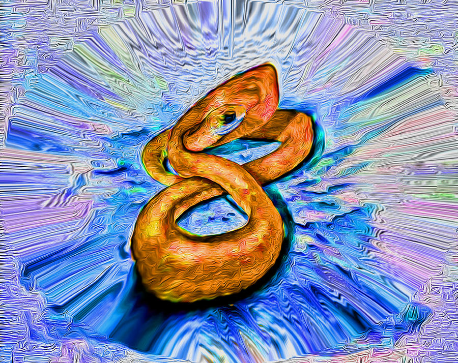 Snake Pit - Orange Digital Art by Ronald Mills