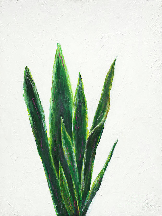 Snake Plant 22 Painting