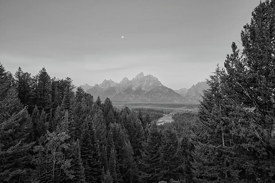 Snake River Overlook 1 Black and White Photograph by Judy Vincent